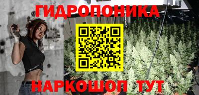 винт Славянск-на-Кубани