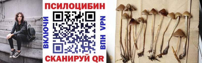 KRAKEN ссылки  Полысаево  Галлюциногенные грибы Psilocybine cubensis  сколько стоит 