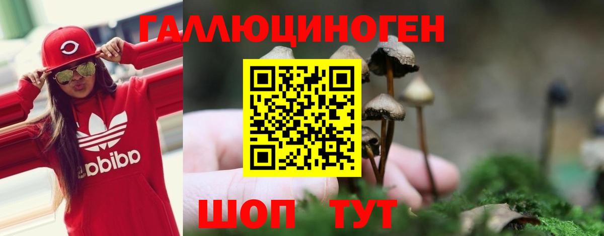 Псилоцибиновые грибы MAGIC MUSHROOMS  Вход с VPN  Полысаево 